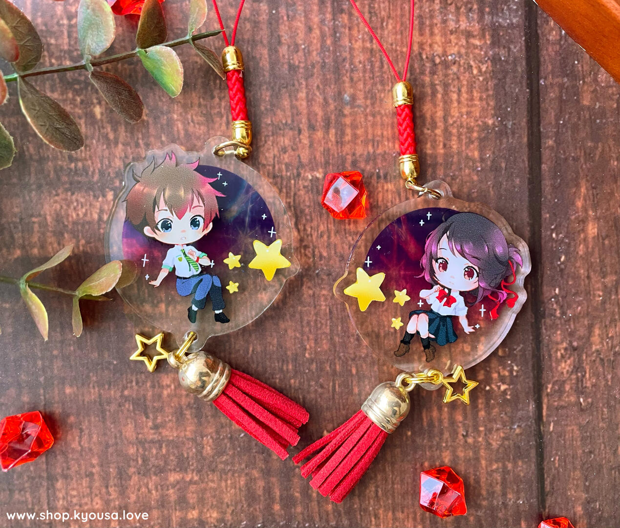 Acrylic Charms